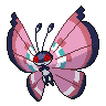 Shadow Vivillon (Meadow)